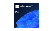 MicrosoftWindows11Pro.png